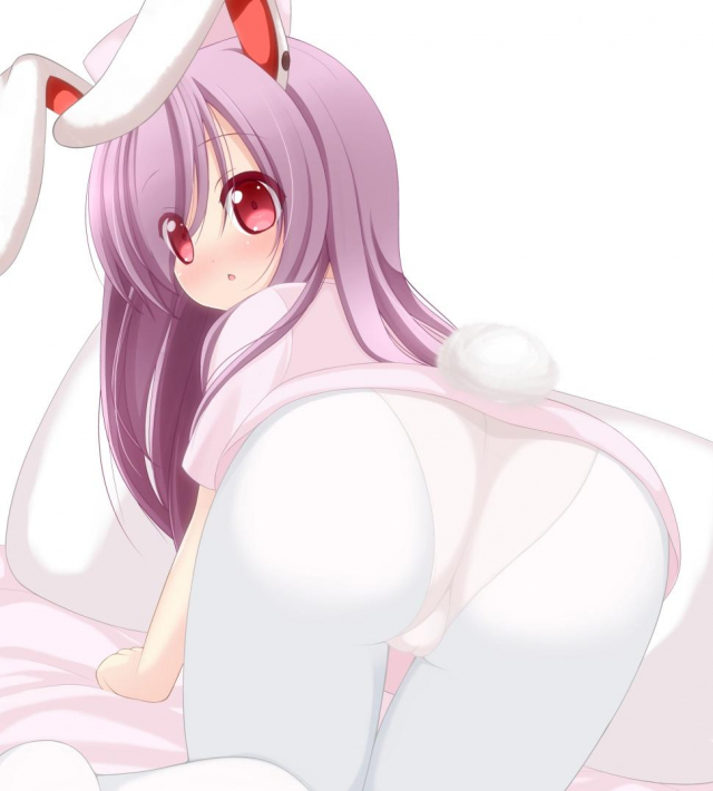 reisen udongein inaba