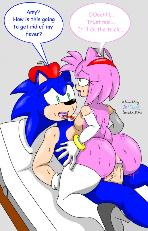 amy rose+sonic the hedgehog