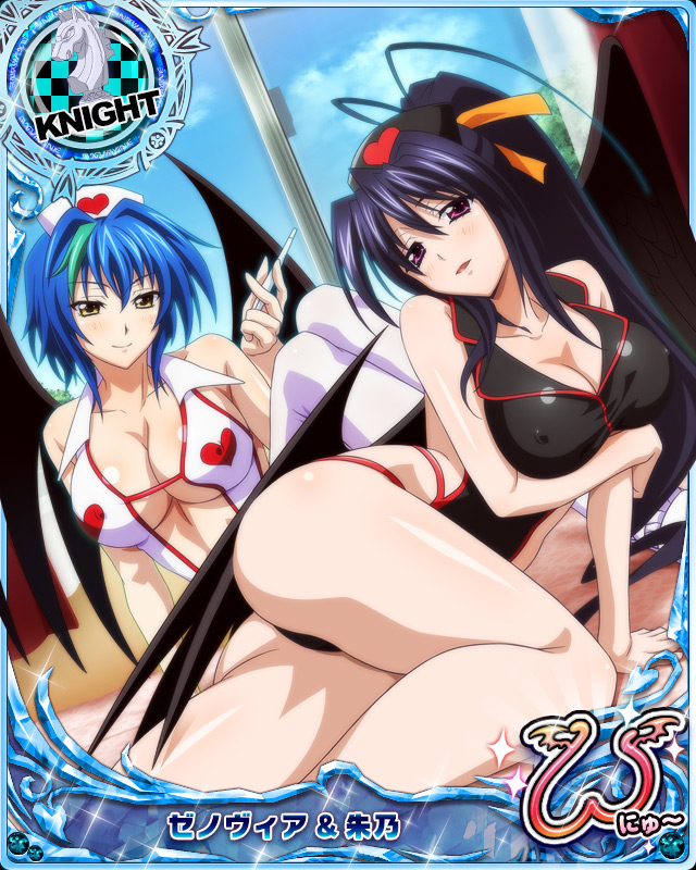 himejima akeno+xenovia quarta