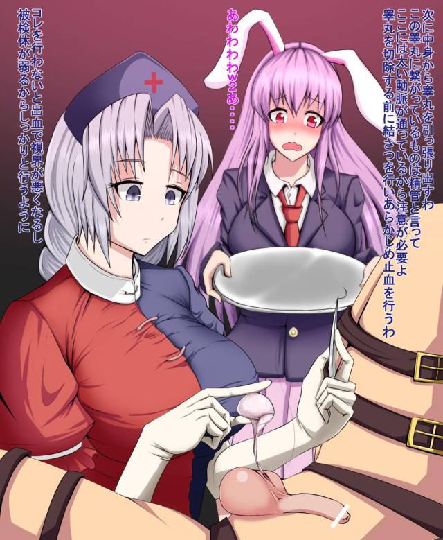 eirin yagokoro+reisen udongein inaba+suture