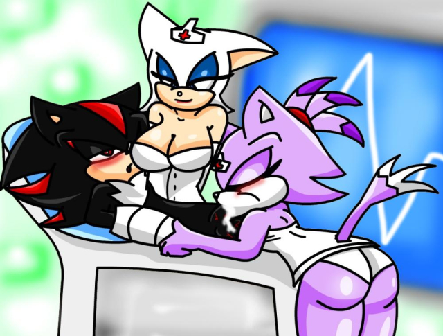 blaze the cat+rouge the bat+shadow the hedgehog