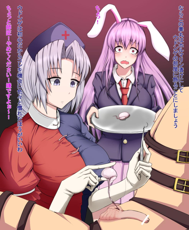 eirin yagokoro+reisen udongein inaba+suture