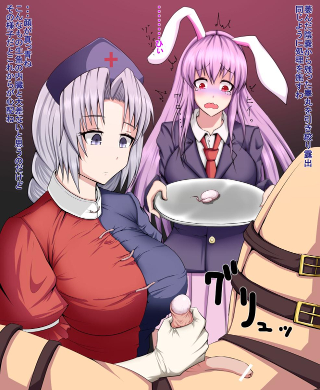 eirin yagokoro+reisen udongein inaba