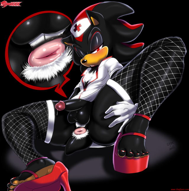 shadow the hedgehog